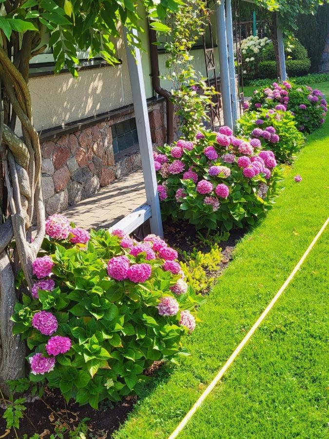 Vila Florena Garden Palanga Exterior photo